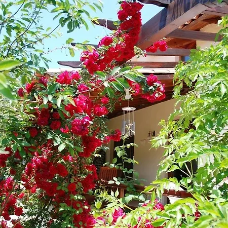 Jasmine Villa Kayakoy